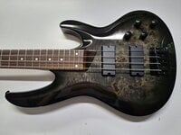 ESP LTD B-204DX Basse électrique