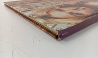 Britney Spears - Oops!... I Did It Again (Anniversary Edition) (Limited Edition) (2 LP)