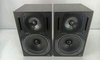 Behringer B 2031 A TRUTH Aktiver Studiomonitor 2 stk