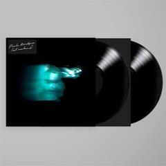 Disco in vinile Phoebe Bridgers - Lost Weekend (2 LP) - 1