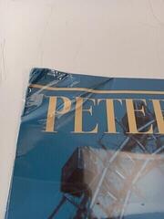 LP ploča Peter Alexander - Wiener Spaziergänge (Reissue) (LP) (Samo otvarano) - 2
