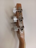 Pasadena GU-28E Natural Guitalele