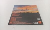 Shannon And The Clams - The Moon Is In The Wrong Place (Limited Edition) (LP)