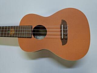 Koncertni ukulele Ortega Halloween Edition Pumpkin Orange Koncertni ukulele (Oštećeno) - 1