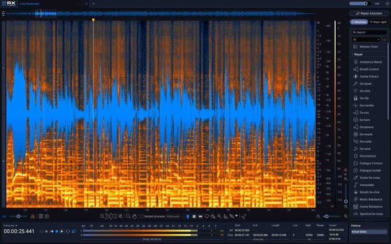 Software Plug-In FX-processor iZotope Music Production Suite 9 (Digitalt produkt) - 12