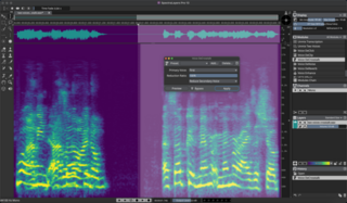 Mastering software Steinberg SpectraLayers Pro 13 Full Version (Digital product) - 3