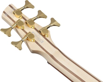 5-keelne basskitarr Ibanez SR305EDX-FDM Frozen Gold Matte 5-keelne basskitarr - 9