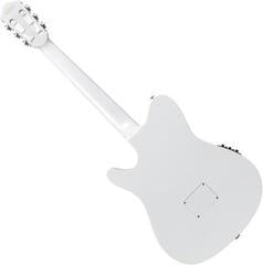 Eelvõimendiga klassikaline kitarr Ibanez TOD10N-SMF 4/4 Silver Metallic Flat Eelvõimendiga klassikaline kitarr - 1