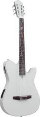 Eelvõimendiga klassikaline kitarr Ibanez TOD10N-SMF 4/4 Silver Metallic Flat Eelvõimendiga klassikaline kitarr - 2
