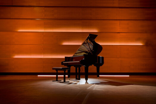 VST Instrument Steinberg Etude CG from Dorico 6 (Digitaalinen tuote) - 2