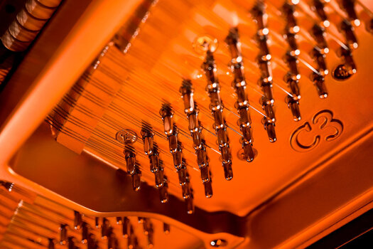 VST Instrument Steinberg Etude CG from Dorico 6 (Digitaalinen tuote) - 3