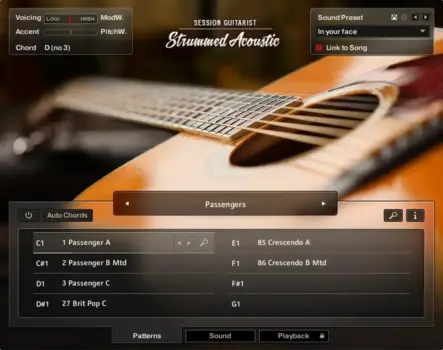 VST Instrument Native Instruments Komplete Select Band (Ψηφιακό προϊόν) - 6