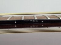 Fender CD-60S WN Mahogany Guitarra dreadnought