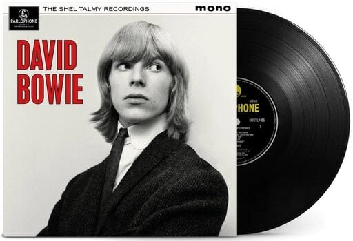 Vinyl Record David Bowie - The Shel Talmy Recordings (180 g) (LP) - 2