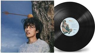 Disco in vinile Aron! - Too Close For Running (Gatefold) (LP) - 1