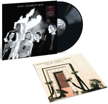 Vinyl Record Hole - Celebrity Skin (180 g) (LP) - 2