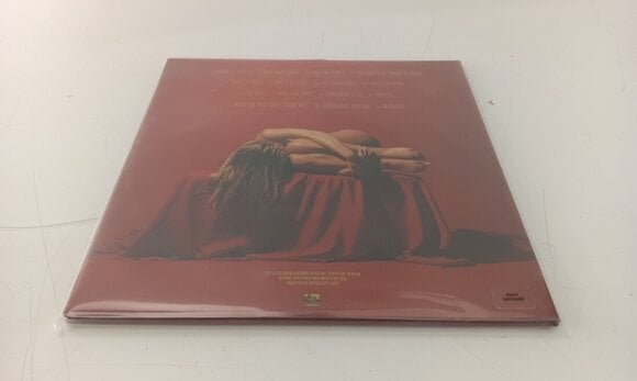 Вінілові платівки Bad Omens - The Death Of Peace Of Mind (Silver Vinyl) (2 LP) (Тільки розпакований) - 2