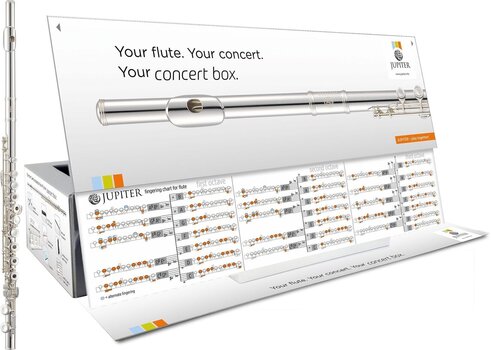 Flauta de orquestra Jupiter JFL700REC-CBox Flute, Ring Keys, E-Mechanics, Solid Silver Headjoint, Concertbox Flauta de orquestra - 2