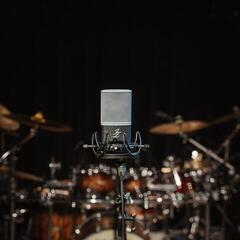 Studio Condenser Microphone JZ Microphones VIntage 12 Studio Condenser Microphone - 7