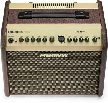 Combo de chitară electro-acustică Fishman Loudbox Mini Bluetooth - 2