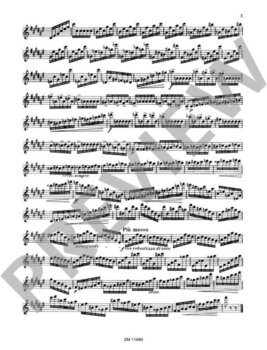 Note Musikverlag Zimmermann 30 Virtuoso Studies Op.75 For Flute - Book 2 Note - 3