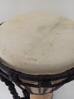 Terre Beginner Plain 40 cm Natural 8" Djembe