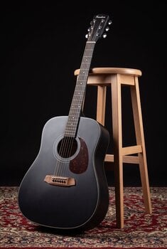 Akustická kytara Pasadena PD-200 Black Akustická kytara (Jako nové) - 11
