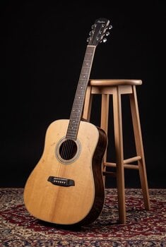 Akustická kytara Pasadena PD-350 Natural Gloss Akustická kytara - 12