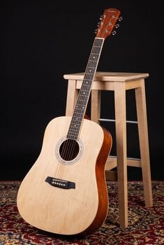 Akustična gitara Pasadena PD-10 Natural Akustična gitara (Kao novo) - 9