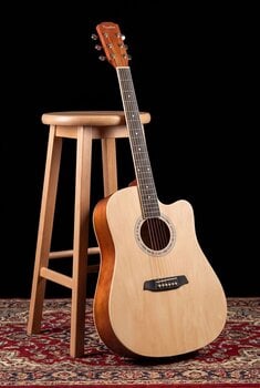 Dreadnought Guitar Pasadena PDC-10 Natural Dreadnought Guitar - 9