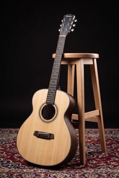 Guitarra folclórica Pasadena PT-100 Natural Guitarra folclórica - 11