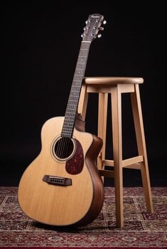 Jumbo akustična gitara Pasadena PGC-200 Natural Jumbo akustična gitara (Skoro novo) - 12