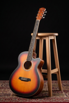 Akustická kytara Jumbo Pasadena PGC-10 Vintage Sunburst Akustická kytara Jumbo (Jako nové) - 9