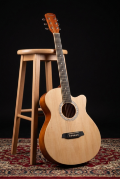 Jumbo Guitar Pasadena PGC-10 Natural Jumbo Guitar - 9