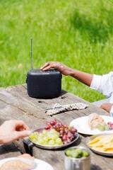 Portable Lautsprecher Pure Audio Woodland Black Portable Lautsprecher - 7
