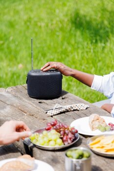Portable Lautsprecher Pure Audio Woodland Black Portable Lautsprecher - 8