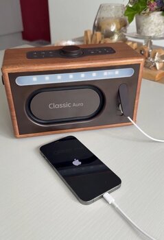 Boxe portabile Pure Audio Classic Aura Coffee Brown/Walnut Boxe portabile - 11