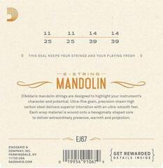Cordes de mandolines D'Addario EJ67 Cordes de mandolines - 1