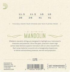 Cordes de mandolines D'Addario EJ75 Cordes de mandolines - 1