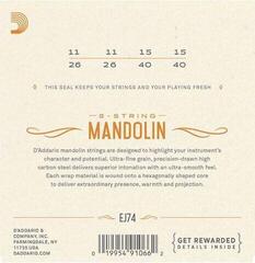 Cordes de mandolines D'Addario EJ74 Cordes de mandolines - 1
