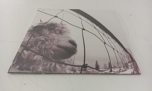 Vinilinė plokštelė Pearl Jam - Vs. (Remastered) (LP) (Tik išpakuotas) - 2