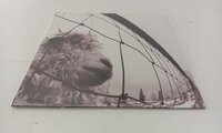 Pearl Jam - Vs. (Remastered) (LP)