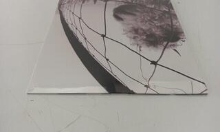 Vinyl Record Pearl Jam - Vs. (Remastered) (LP) (Just unboxed) - 2