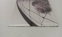 Pearl Jam - Vs. (Remastered) (LP)