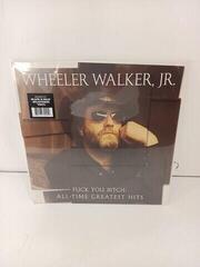 Vinyl Record Wheeler Walker Jr. - Fuck You Bitch: All-Time Greatest Hits (Black and Gray Splattered) (LP) (Damaged) - 2