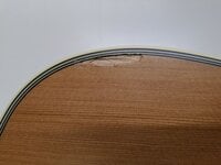 Takamine GD20 Natural Satin Chitarra Acustica