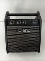 Roland PM-100