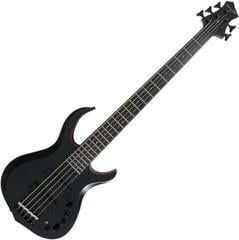 5-snarige basgitaar Sire Marcus Miller M2-5 2nd Gen Basic SET Transparent Black 5-snarige basgitaar - 1