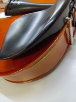Pasadena GXL01 16 4/4 Виола