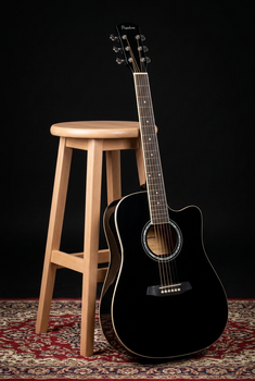Dreadnought Guitar Pasadena PDC-10 Black Dreadnought Guitar - 9